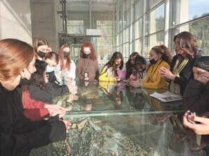 עותק של WhatsApp Image 2023-04-17 at 19.11.12 (1)