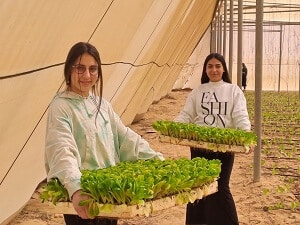 עותק של WhatsApp Image 2023-04-17 at 21.51.05 (1)