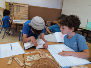 עותק של image (3)